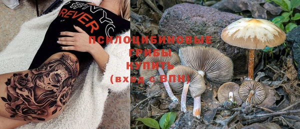не бодяженный Аркадак